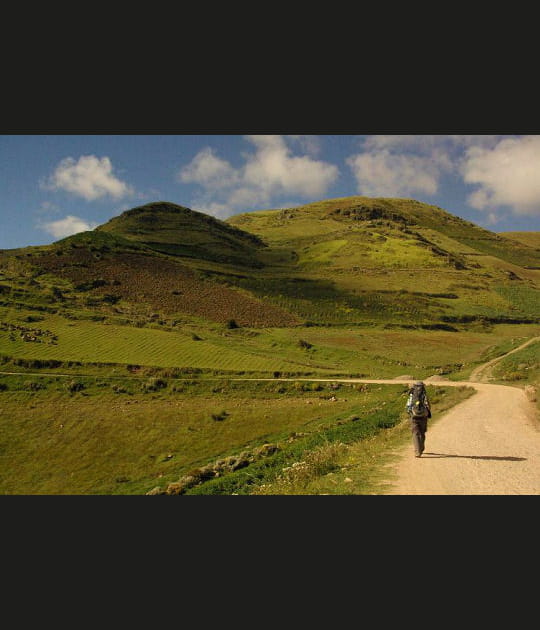 Dans l'immensit&eacute; du chemin