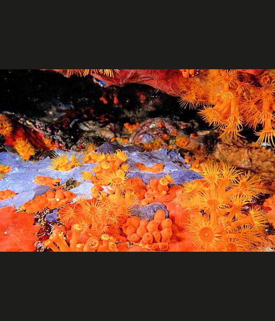 Une palette ton sur ton