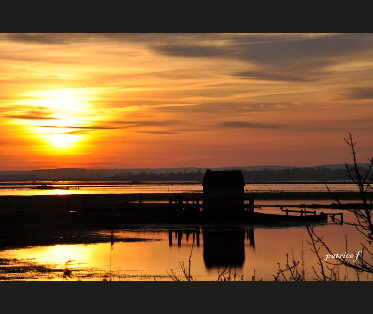 Sur le Marais du Cotentin