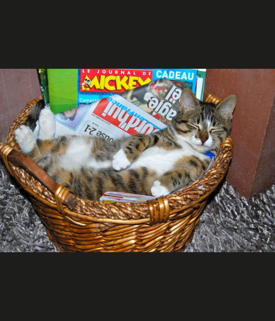 Sieste et lecture