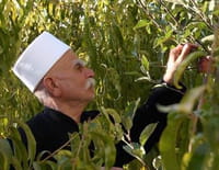 Liban, des guerres et des hommes : 1990-2012