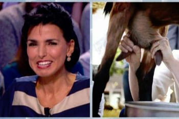 Zapping Tv : Rachida Dati et la chèvre de Nathalie Kosciusko-Morizet