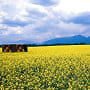 slovenie
