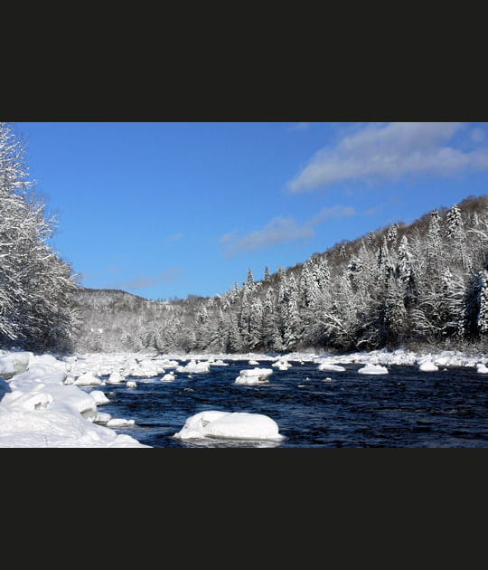 La nature sous la neige