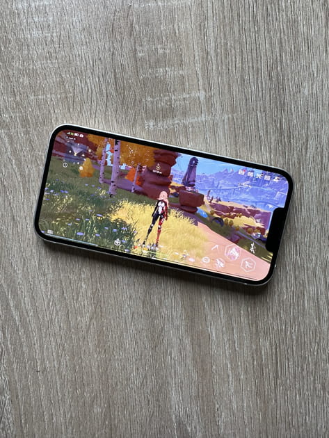 Un processeur d&eacute;j&agrave; vu, mais tr&egrave;s puissant