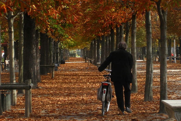 Rougeoyant Jardin des Tuileries