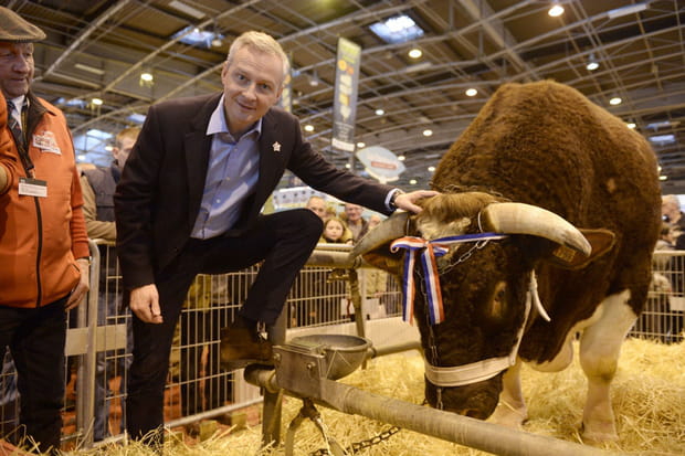 Bruno Le Maire à la cool
