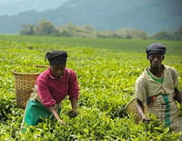 Rwanda, le pays des mille collines
