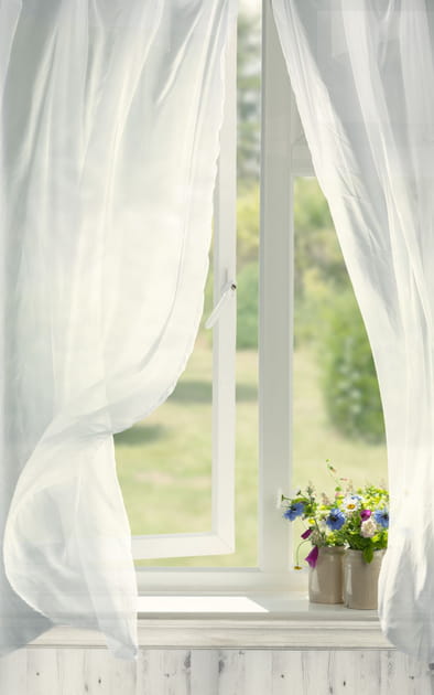 18&nbsp;astuces du quotidien pour assainir l'air de son logement