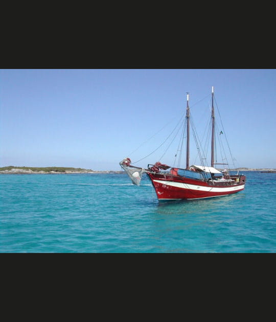 Une teinte rouge sur la mer bleue