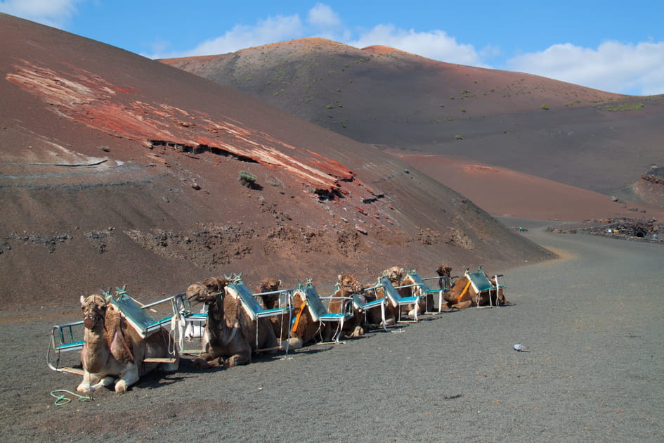 Echadero de Los Camellos