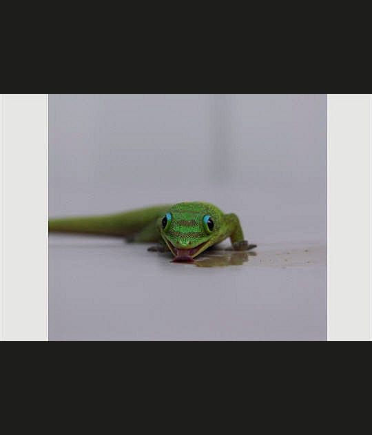 Un petit creux&nbsp;?