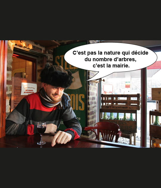For&ecirc;t dans la ville