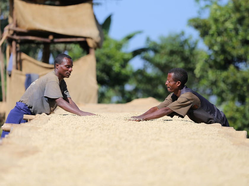 Ethiopie, une tradition ancestrale