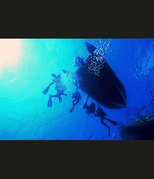 Contre plong&eacute;e