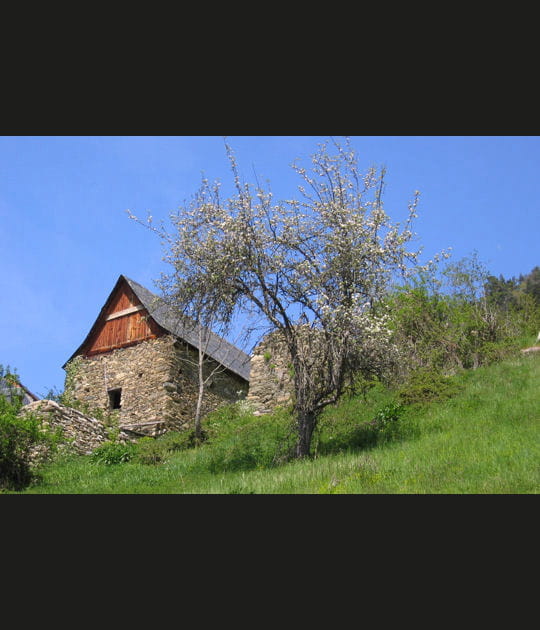 Chalets de montagne