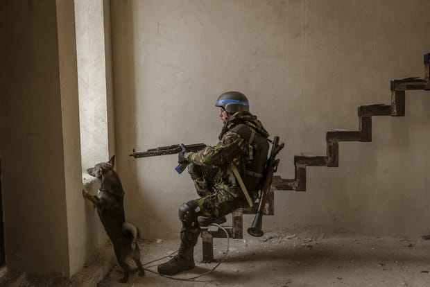 Combattant ukrainien et chien errant