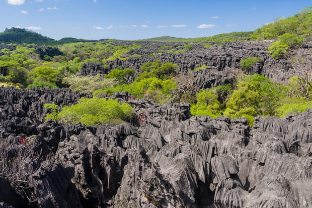 Les pinacles dressés de Madagascar