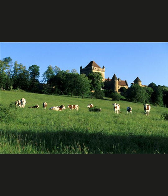 Les paysages du Jura