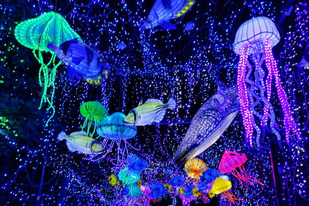 Une nouvelle expérience onirique aux Lumières Sauvages du Safari de Peaugres