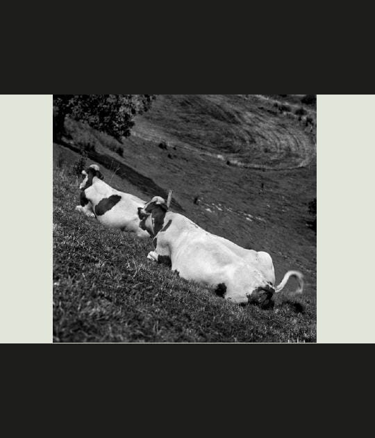 Sieste &agrave; flanc de montagne