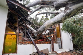 Temp&ecirc;te en Australie&nbsp;: deux camions militaires en mission entrent en collision, 36&nbsp;bless&eacute;s
