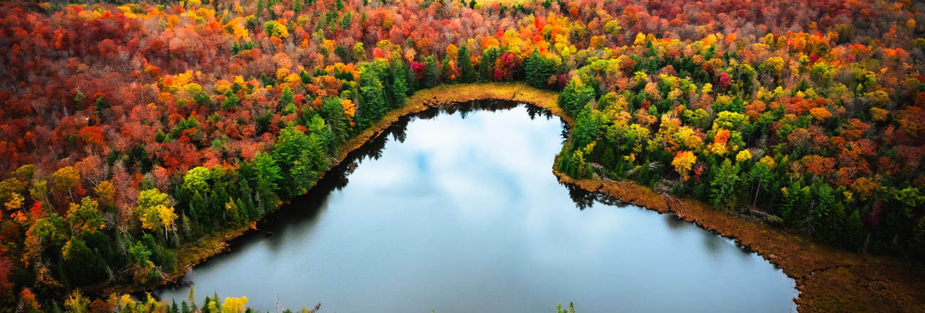 L'été indien au Canada : où admirer les feuillages d'automne ?
