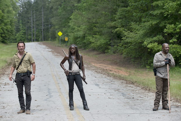 Rick, Michonne et Morgan sur la route