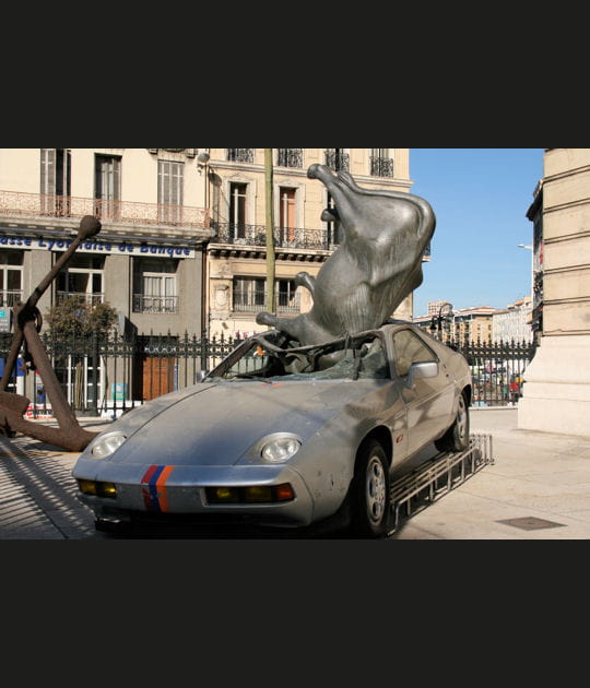 Accident de vache