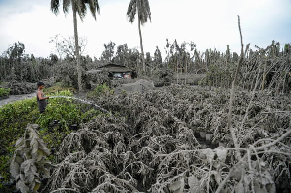 AFP