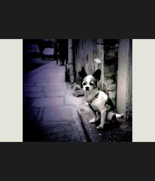 Attente