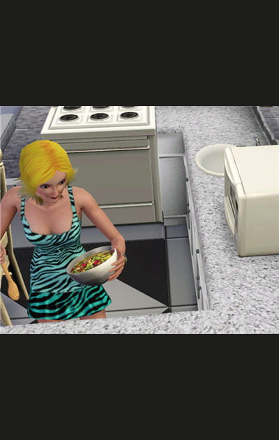 Les Sims3&nbsp;: l'aspect technique