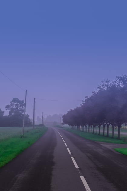 La moiti&eacute; du r&eacute;seau routier de l'Orne revient &agrave; 90&nbsp;km/h