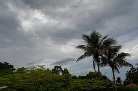 Cyclone Garance&nbsp;&agrave; La R&eacute;union&nbsp;: des milliers de foyers encore priv&eacute;s d'eau courante