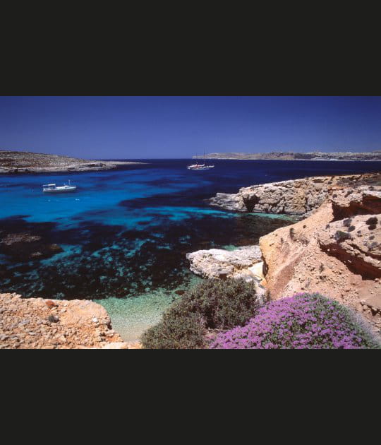 Anse maltaise