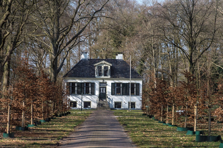 Les colonies de bienfaisance (Belgique, Pays-Bas)