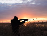 Pêche à haut risque : Nord contre Sud : Désaccord fatal