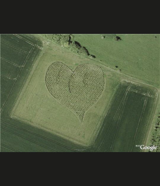 Le coeur de la Reine