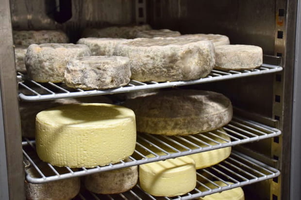 Fabrication de fromage aux portes du Cotentin
