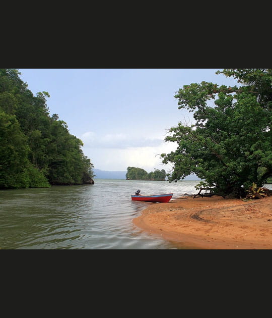 P&ecirc;cheurs de mangrove