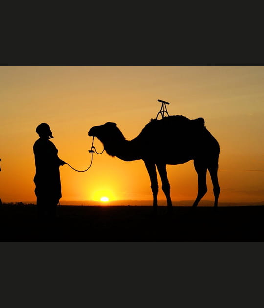 Soleil marocain
