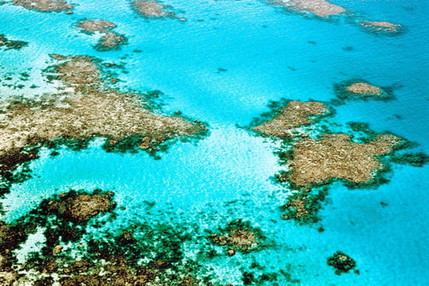La Grande Barrière de Corail