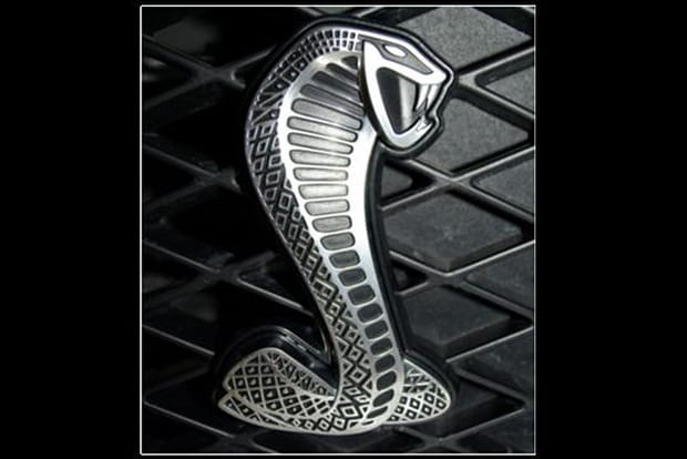 Le cobra du constructeur