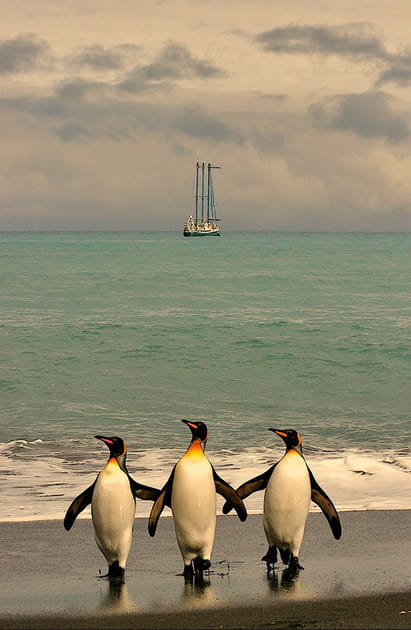 Trio d'empereurs