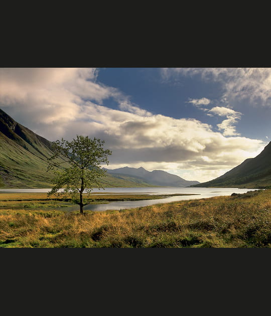 Surprenante Ecosse
