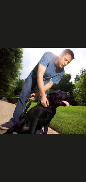 Si &agrave; 40&nbsp;ans on n'est pas l'heureux propri&eacute;taire d'un labrador, c'est qu'on a rat&eacute; sa vie