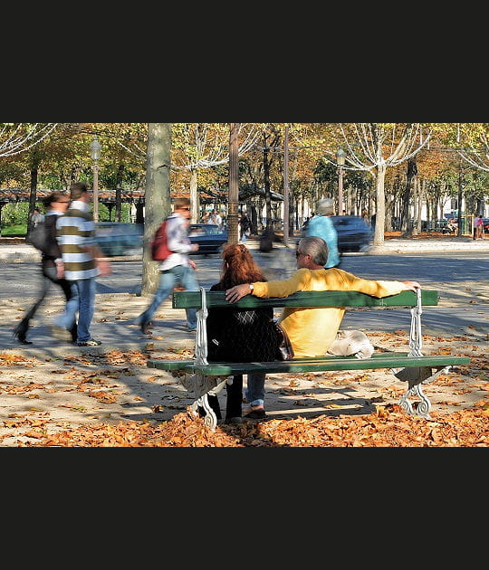 Les spectateurs de l'automne
