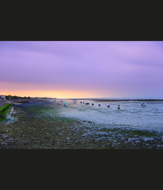 La Flotte... sans flotte