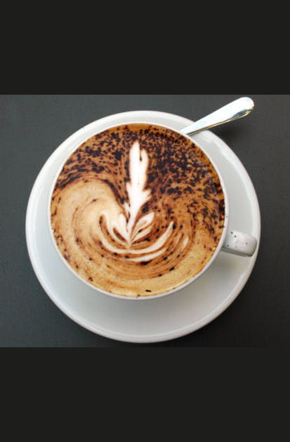 Feuille de caf&eacute;