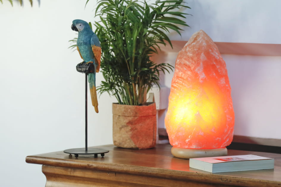 Pour No&euml;l, offrez un cadeau d&eacute;co qui change